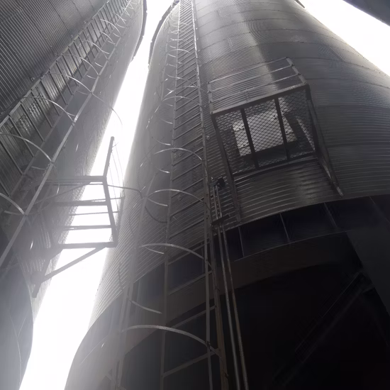 Silo de maíz del compartimiento de alimentación de la placa de acero del almacenamiento de grano de gran capacidad